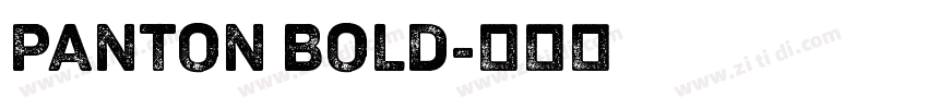 panton bold字体转换